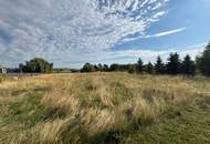 Einfamilienhaus mit geräumigen Scheune und viel Grünland!