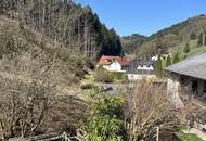 Einfamilienhaus im Grünen