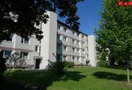 Geräumige 2-Zimmer Wohnung mit schöner Loggia in traumhafter, grüner Ruhelage! Bezugsbereit mit 01.02.2026!