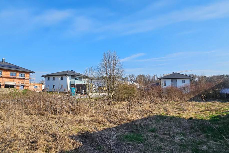 Aufgeschlossenes Eckgrundstück am Stadtrand von Enns ohne Bauzwang, Grund und Boden-kauf, 239.000,€, 4470 Linz-Land