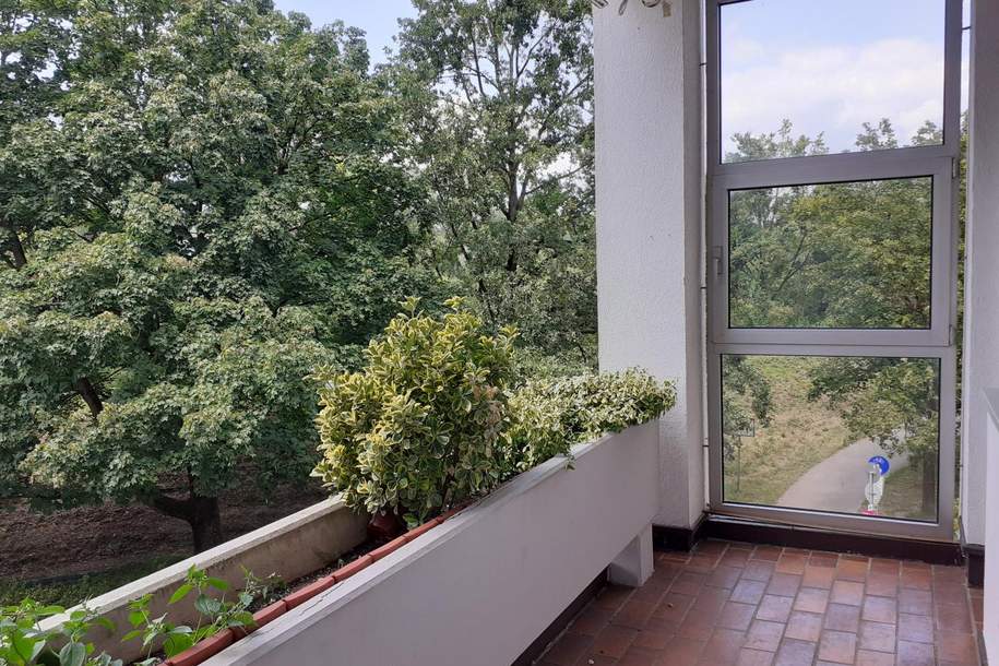 Ideale Wohnung in Ebelsberg-Blick ins Grüne, Wohnung-kauf, 269.000,€, 4020 Linz(Stadt)