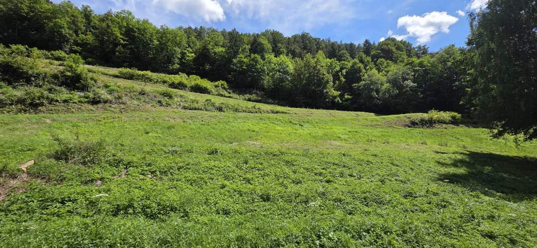 Bauland (ca. 8.700 m²) in herrlicher Panoramalage zu kaufen in Stattegg!