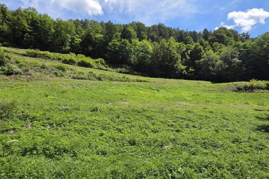 Bauland (ca. 8.700 m²) in herrlicher Panoramalage zu kaufen in Stattegg!, Grund und Boden-kauf, 1.530.000,€, 8046 Graz(Stadt)