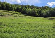 Bauland (ca. 8.700 m²) in herrlicher Panoramalage zu kaufen in Stattegg!