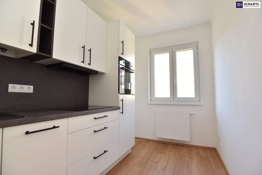 PROVISIONSFREIES WOHNJUWEL | Erstbezug nach Top-Sanierung | Süd-Loggia & traumhafter Fernblick!, Wohnung-kauf, 209.000,€, 8052 Graz(Stadt)