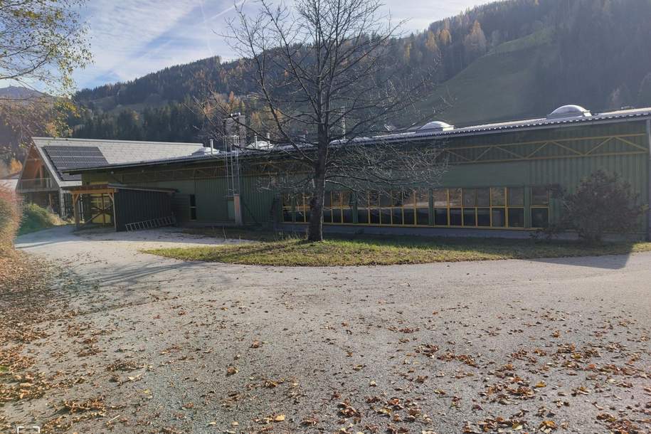 NEUER PREIS!!! INTERESSANT FÜR INVESTOREN!!! Gewerbe - Betriebsobjekt in Schladming!, Gewerbeobjekt-kauf, 1.400.000,€, 8970 Liezen