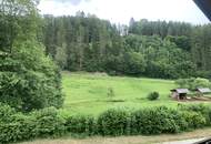 Sommerfrische auf dem Land mit Rundum-Grünblick!
