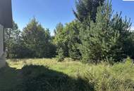 Ruhig gelegenes Einfamilienhaus in Mönichkirchen mit großem Grundstück