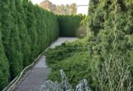 Einfamilienhaus in toller Lage nahe Wien