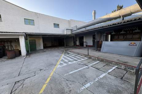 Großzügige Gewerbefläche in absoluter Toplage von Perchtoldsdorf, Gewerbeobjekt-kauf, 3.699.000,€, 2380 Mödling