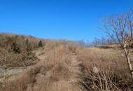 Natur vor der Haustür – Grundstück mit Weitblick und Grünlandanschluss