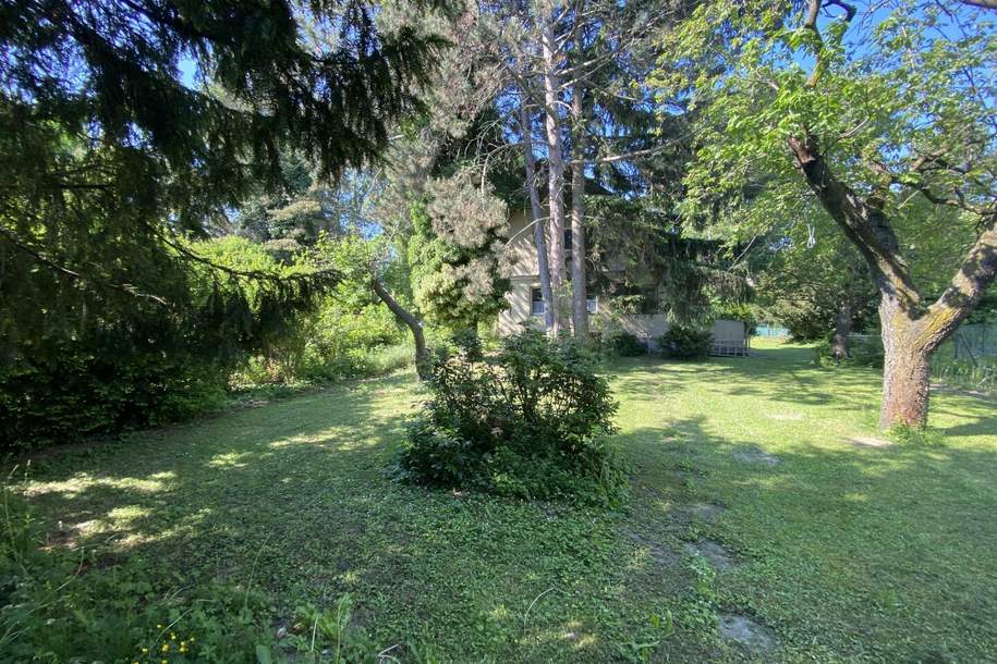 Eigengrund in Langenzersdorf, Grund und Boden-kauf, 495.000,€, 2103 Korneuburg