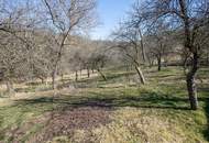 Ein einzigartiges Anwesen mit viel Platz und unzähligen Möglichkeiten