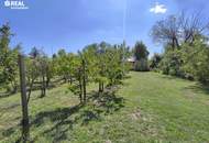 Außergewöhnliches Naturparadies in Bad Vöslau