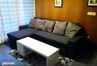 Kleingartenidylle in 1130 Wien