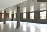| INDUSTRIE STYLE | FABRIK 1230 | Büro-/Ordinations-/Geschäftsflächen