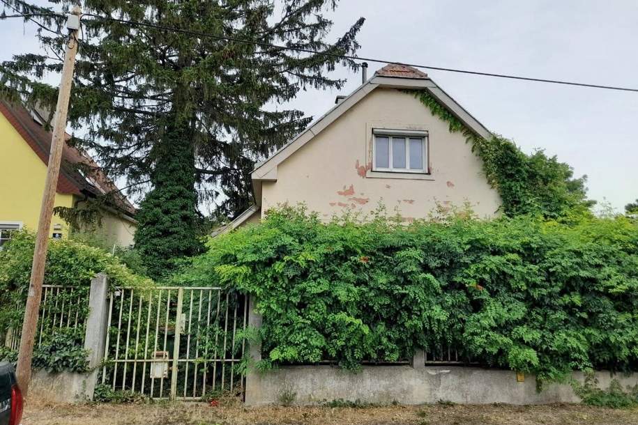 Schönes Grundstück mit Bestand, Grund und Boden-kauf, 585.000,€, 1220 Wien 22., Donaustadt