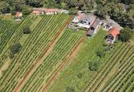 Ehemaliger Gastronomiebetrieb mit Möglichkeit zum Hauptwohnsitz in den Weinbergen!