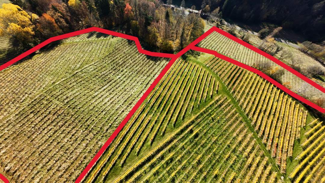 Weingarten in Kranach, Gemeinde Gamlitz zu kaufen ( Zone II )