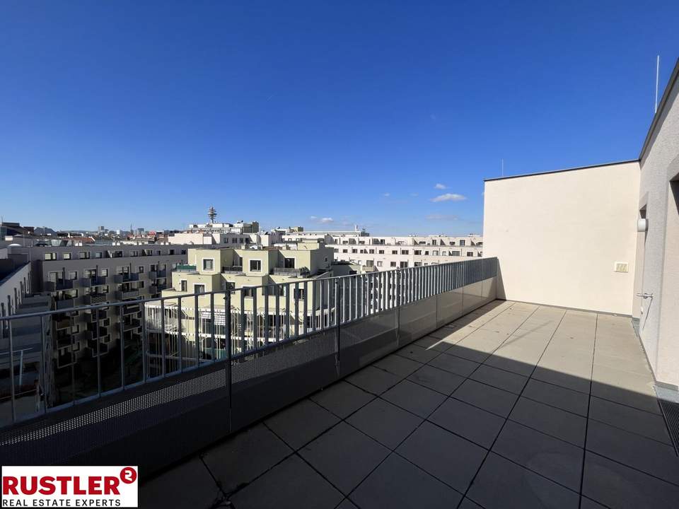 Traumhafte Dachterrasse - moderner Neubau