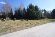 Großes Wohnhaus, großer Garten, große Maschinenhalle