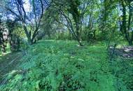 Traumhaus in 1190 Wien - 180m², 6 Zimmer, großer Garten, Balkone, Terrasse, Stellplatz uvm.