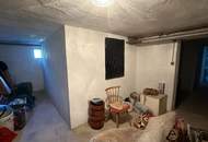 BEZUGSFERTIGES Einfamilienhaus im schönen, sonnigen Südburgenland