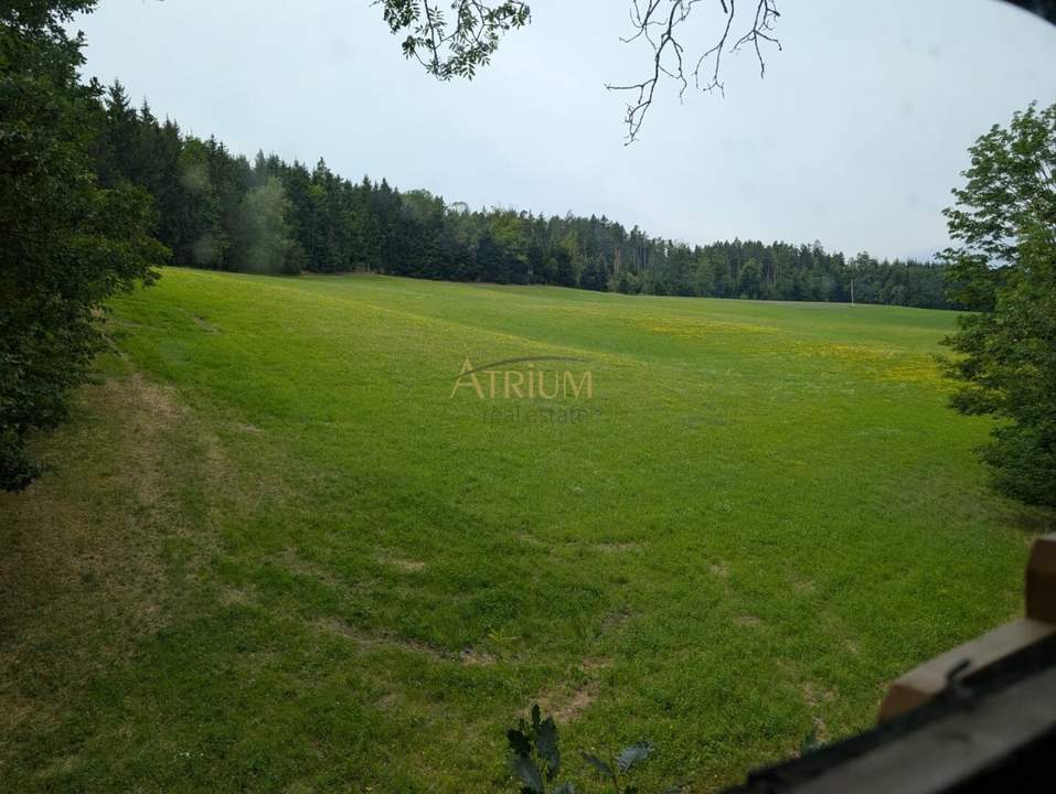 *** TRAUM VERWIRKLICHEN ***