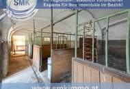 Großzügiger Vierkanthof mit Entwicklungspotenzial