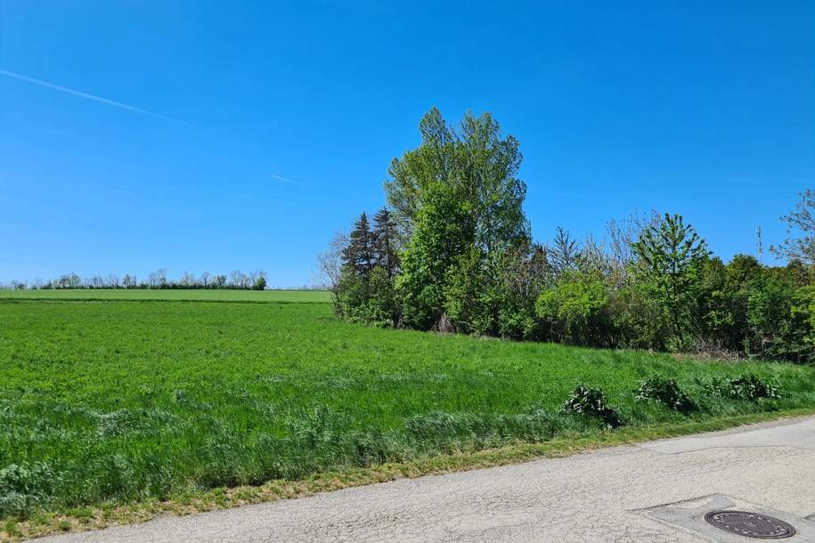 Grundstück für ihren Wohntraum in Steinbrunn (Provisionsfrei), Grund und Boden-kauf, 309.000,€, 7035 Eisenstadt-Umgebung