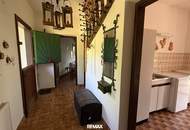 **Charmantes 4-Zimmer-Haus mit Pool, großem Grundstück & traumhafter Aussicht im SÜDBURGENLAND!**