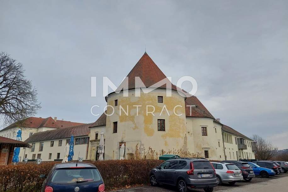 Renditestarkes Anlageobjekt - Vollvermietungspotential - starkes Ausbaupotential, Haus-kauf, 890.000,€, 8291 Hartberg-Fürstenfeld