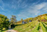 Exklusives Traumhaus zur Miete mit Panoramablick auf die Weinberge