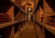 Herrschaftlicher Winzergutshof im idyllischem Kamptal - Luxus - Eleganz und Perfektion