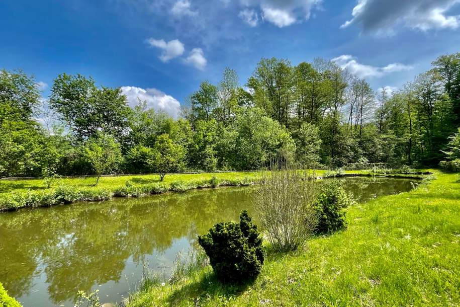 Idyllisches Grundstück mit 2 Fischteichen im Bezirk Leibnitz, Grund und Boden-kauf, 65.000,€, 8435 Leibnitz