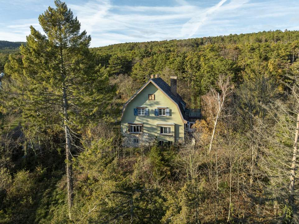 Einzigartige Jahrhundertwende-Villa mit Privatpark und Wald | Blick in alle Himmelsrichtungen | Lichtdurchflutet