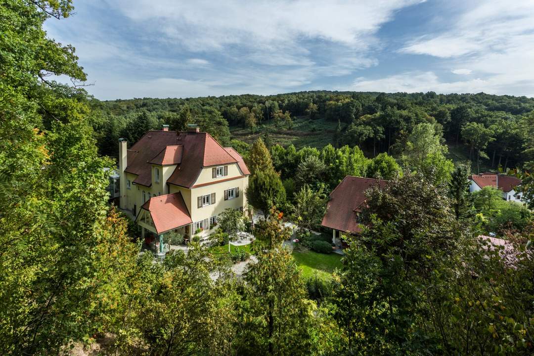 EINZIGARTIGE LIEGENSCHAFT - HERRSCHAFTSHAUS MIT PARKÄHNLICHER ANLAGE