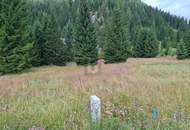 FERN VON DER HEKTIK AUF DER FLATTNITZ