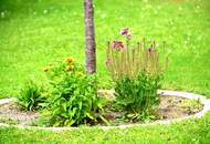 Neuer Preis" Großer Garten und Blick auf den Anninger - Entzückende Doppelhaushälfte in ruhiger Siedlungslage in Traiskirchen!