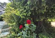 Traumlage Wilhelminenberg – Garten-Terrassenwohnung – Privatverkauf: kein Makler, kein Makel!