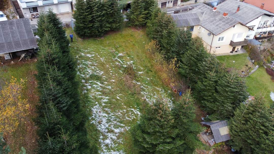 breiter Baugrund in leichter Hanglage mit Altbaumbestand zu verkaufen