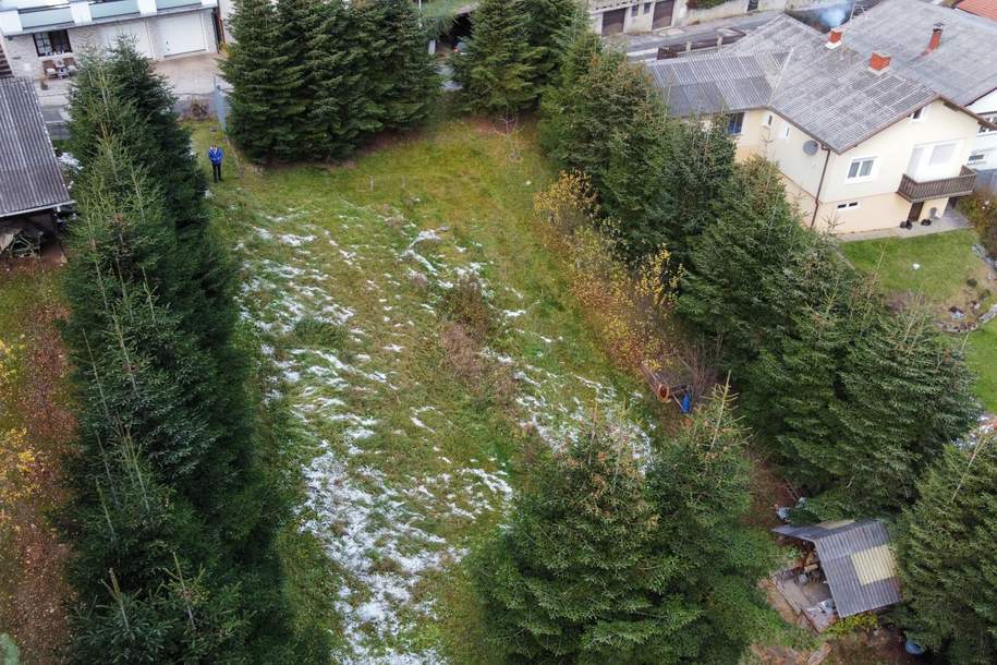 breiter Baugrund in leichter Hanglage mit Altbaumbestand zu verkaufen, Grund und Boden-kauf, 120.000,€, 7203 Mattersburg