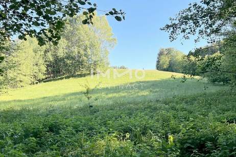 Erholung pur im eigenen Wald mit Bach und Wiesen nähe Amstetten, Grund und Boden-kauf, 30.000,€, 3321 Amstetten