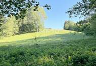 Erholung pur im eigenen Wald mit Bach und Wiesen nähe Amstetten