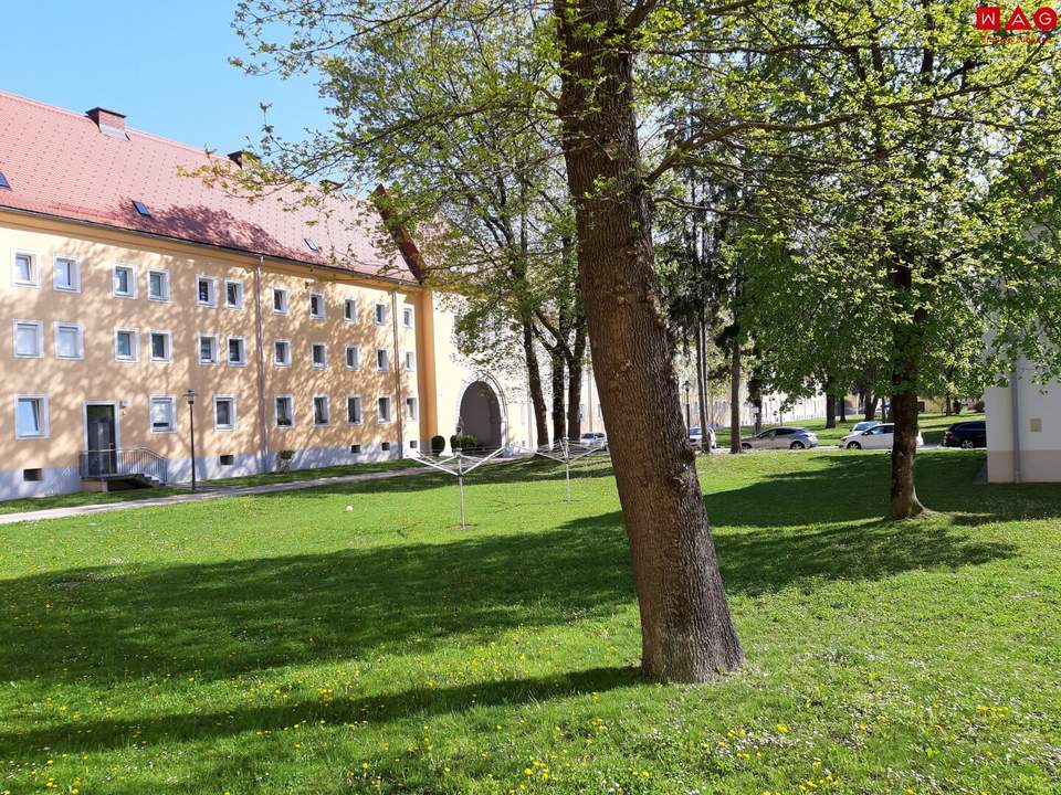 Bezaubernde Wohnung im Grünen - hell und freundlich - neu saniert - praktischer Schnitt - sofort verfügbar!