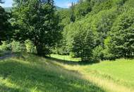 Traumkulisse! Freier Blick auf die Rax!