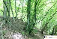 1,2 Hektar Grundstück für die Erholung/Selbstversorgung bei Bad Tatzmannsdorf