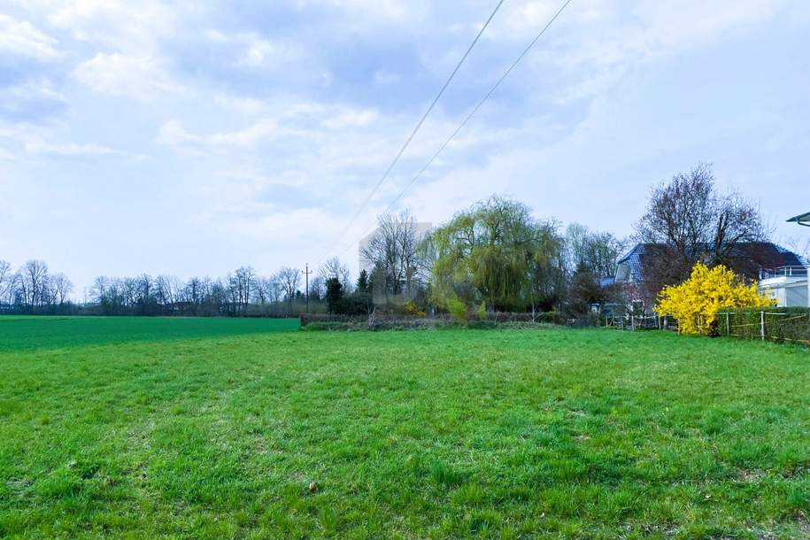Preisreduktion! TOLLES GRUNDSTÜCK IN SONNIGER BESTLAGE FÜR IHREN WOHNTRAUM!, Grund und Boden-kauf, 4614 Wels-Land