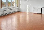 Praktische Lagerfläche mit Lastenaufzug in 1230 Wien