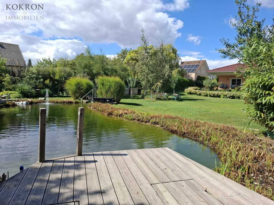 Bungalow nahe Wien - Top-Zustand - Schwimmbiotop - parkähnlicher Garten - Garage - Werkstatt
